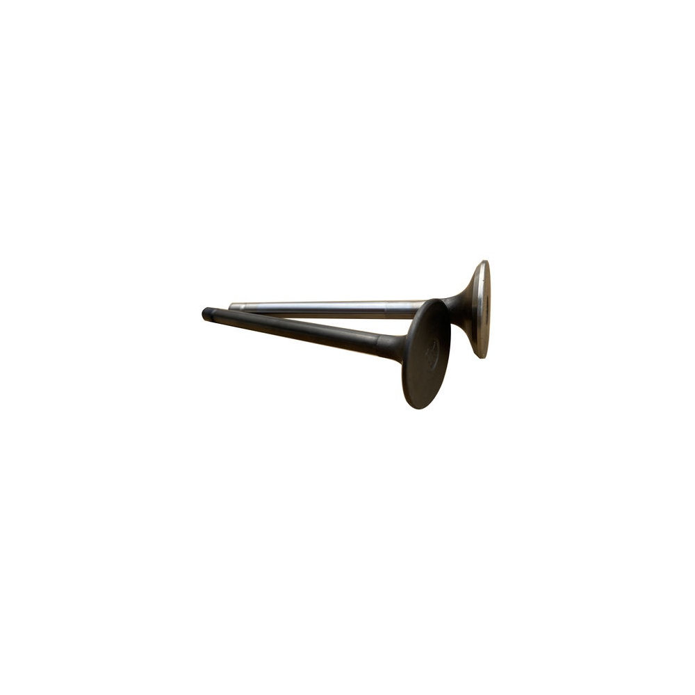 Aftermarket Parts 8-94395882-0 / 8-97209876-3 Truck Engine Intake and Exhaust Valves for Truck Diesel Engine Repair
