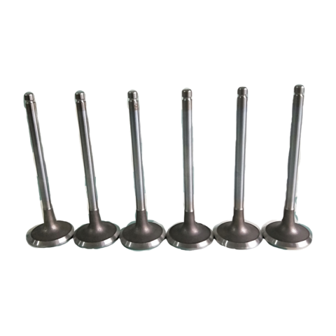 Diron Parts A3901117 A3901607 Engine Valves for Heavy-Duty Truck Engine Aftermarket Replacement